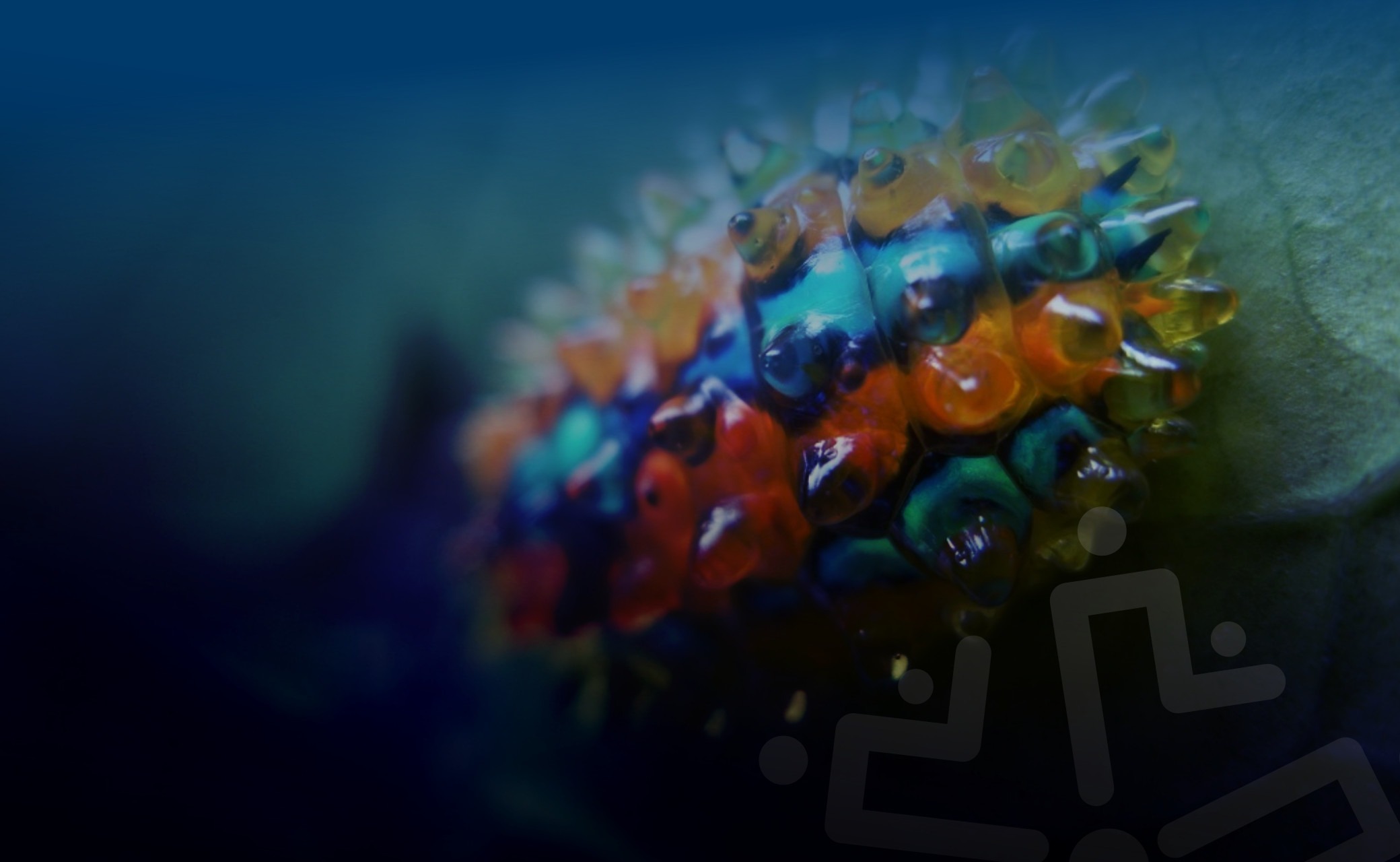 Bioshop NVA 1 Consejo Profesional de Biología