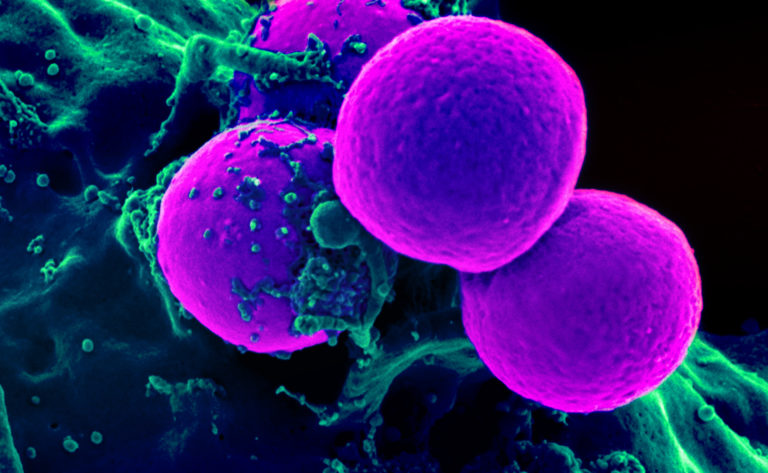 Consejo Profesional de Biología