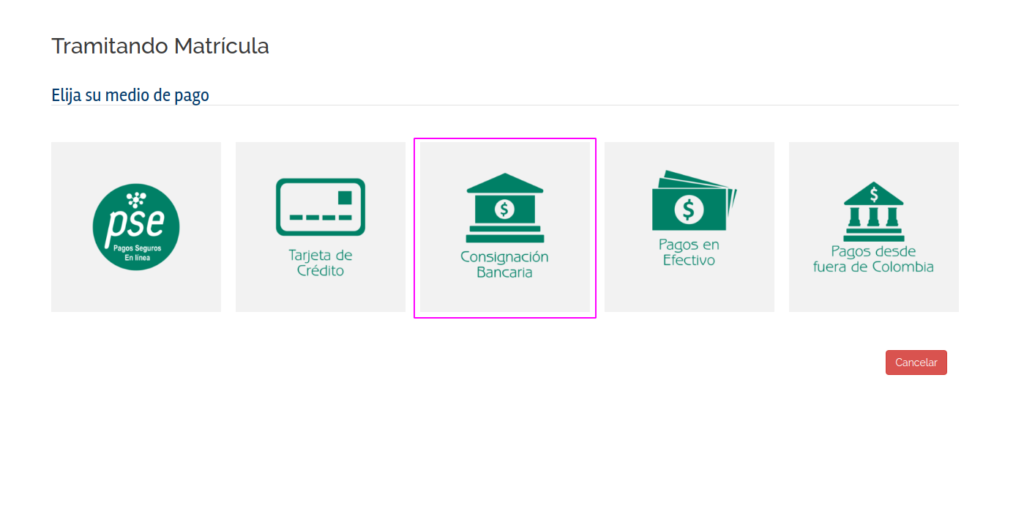 dsh pagos consignacion
