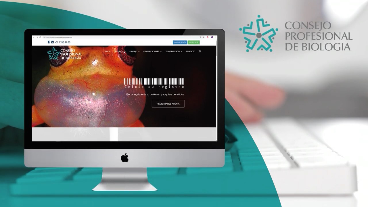 cap Video tutorial Del SitioWeb 000002 01