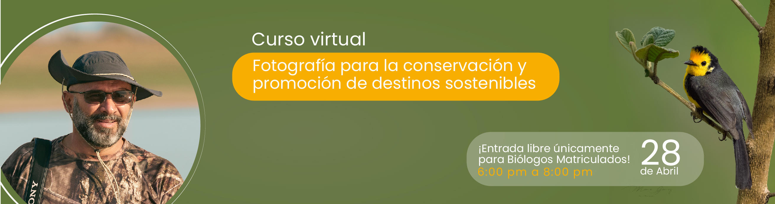 Sininfo Mesa de trabajo 1