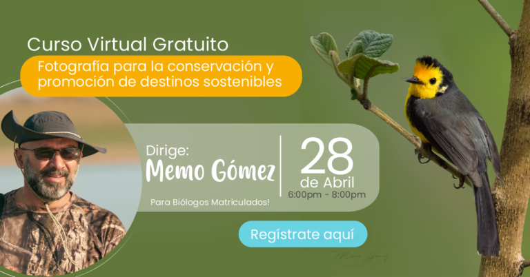 Curso Virtual – Fotografía para la conservación y promoción de destinos sostenibles