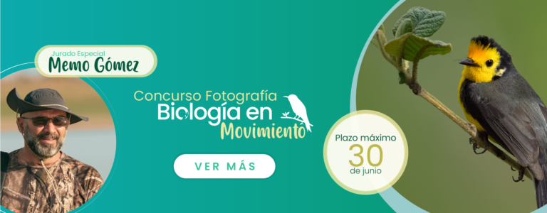 imagen-concurso-fotografía