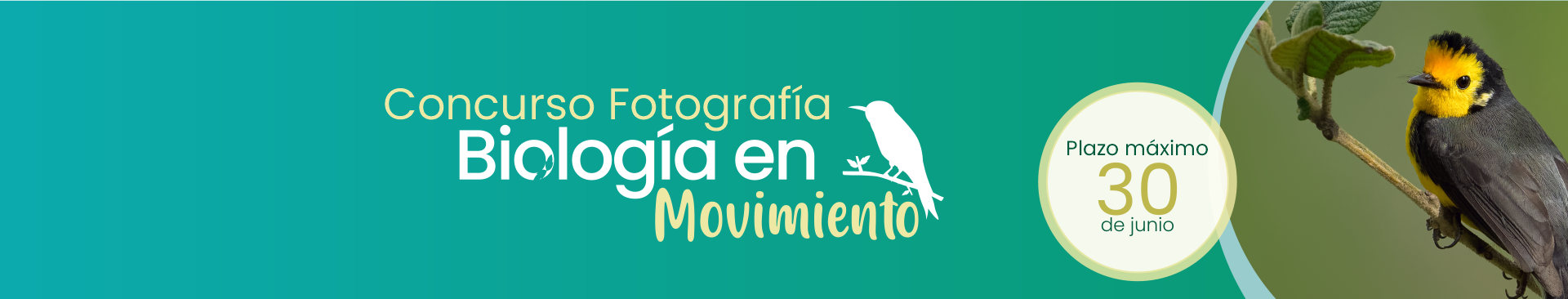 imagen-concurso-fotografia