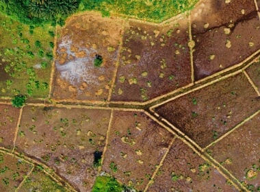 eco delimitaciones de areas