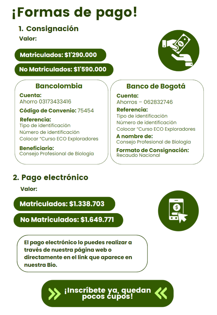 03 formas de pago