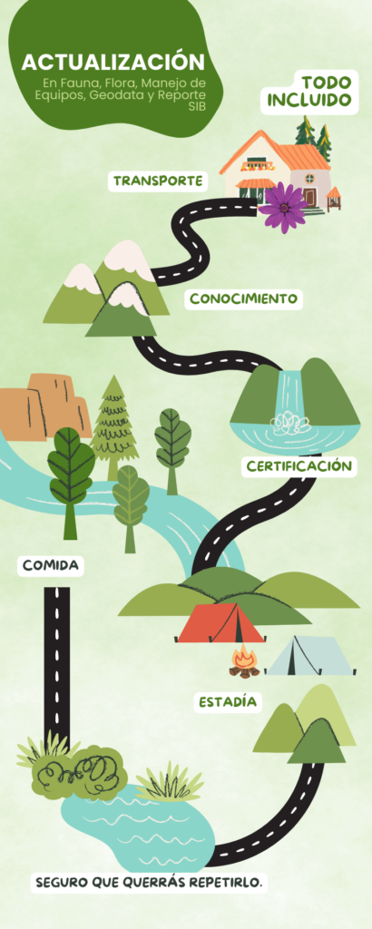 eco infografia