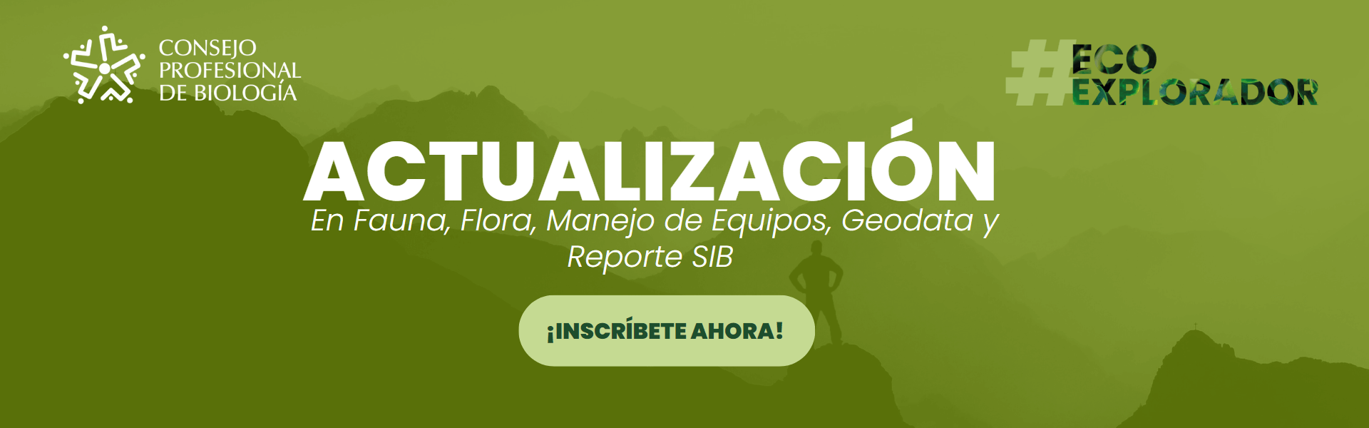 header eco actualizacion