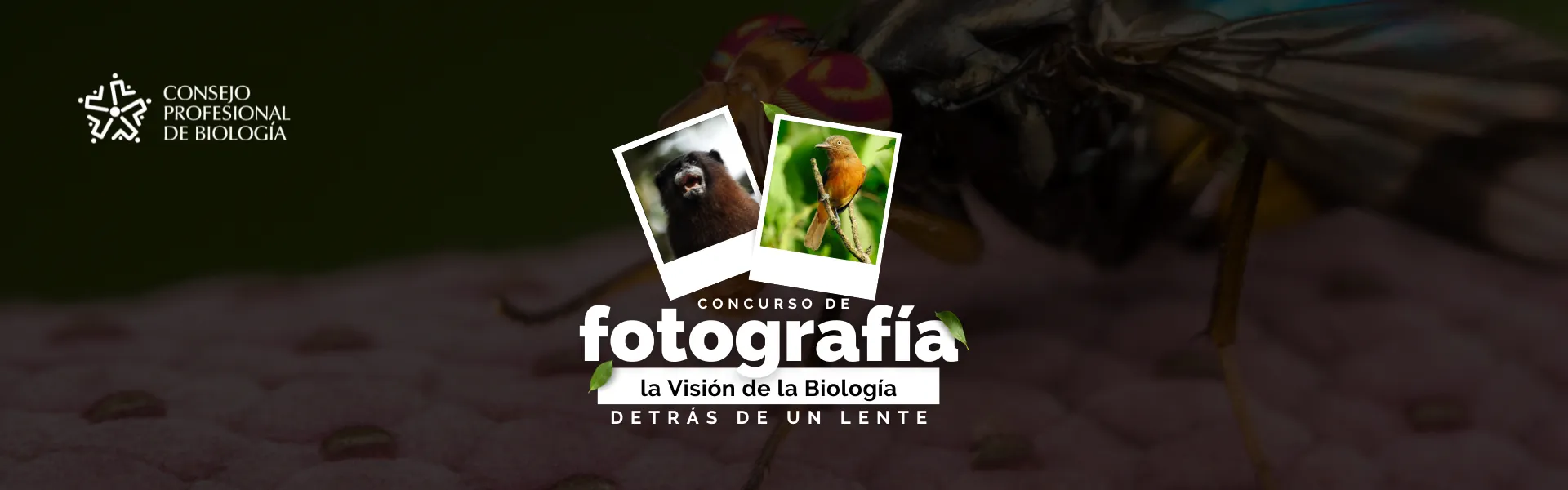 header landing concurso fotografia 202403