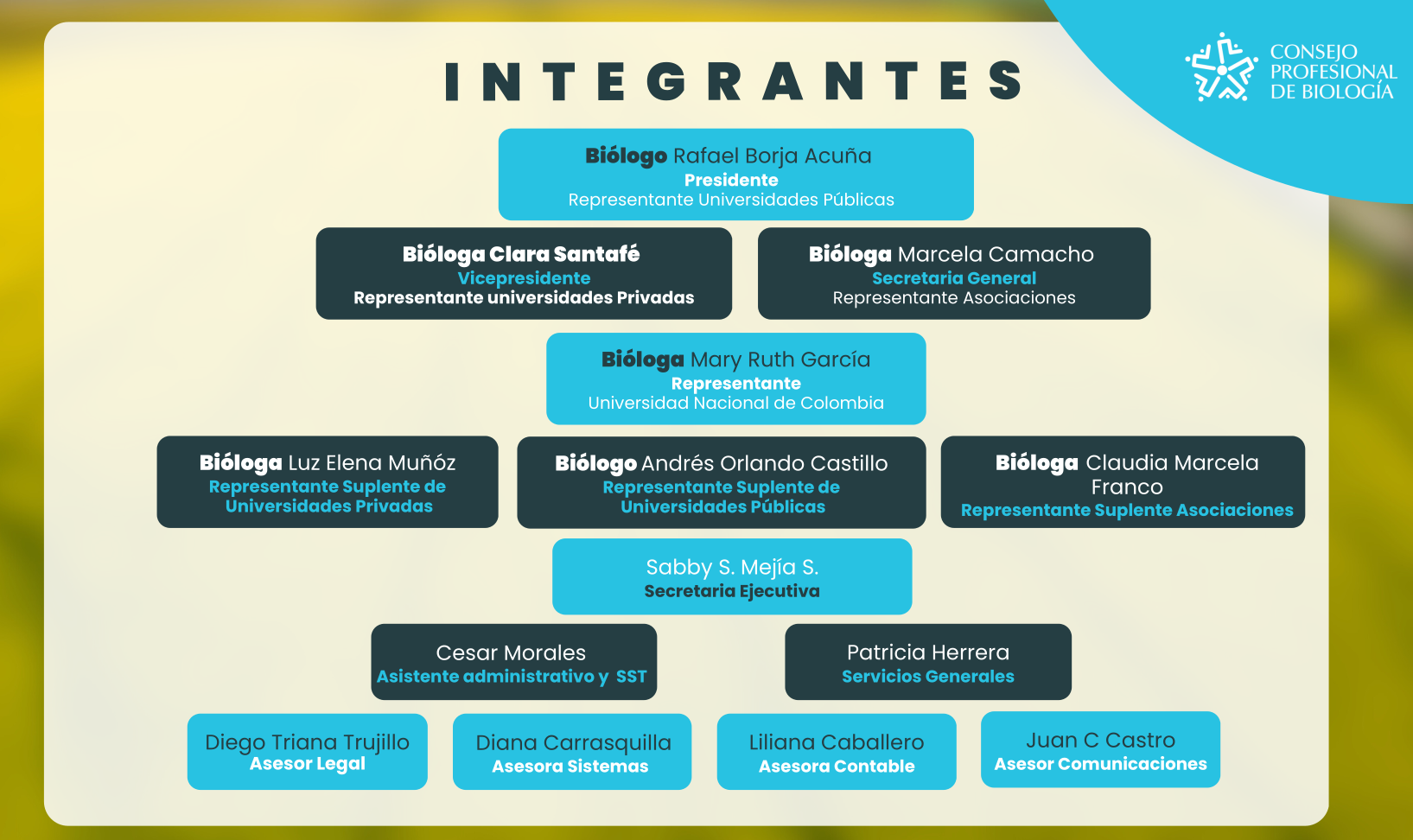 integrantes consejo 2024
