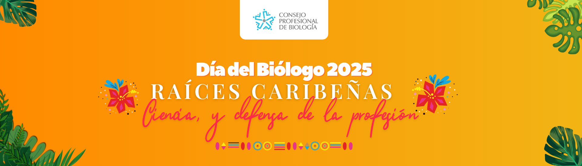 CABECERA LANDING PAGE