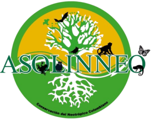 logo asolinneo