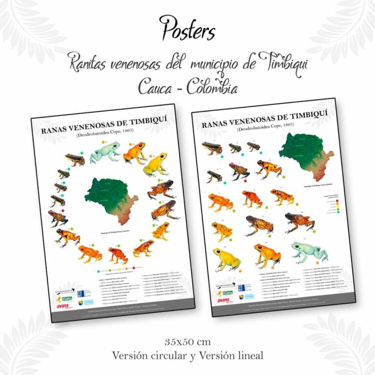 Nativo & Silvestre.co 3 P-FB_IMG_1662257219852