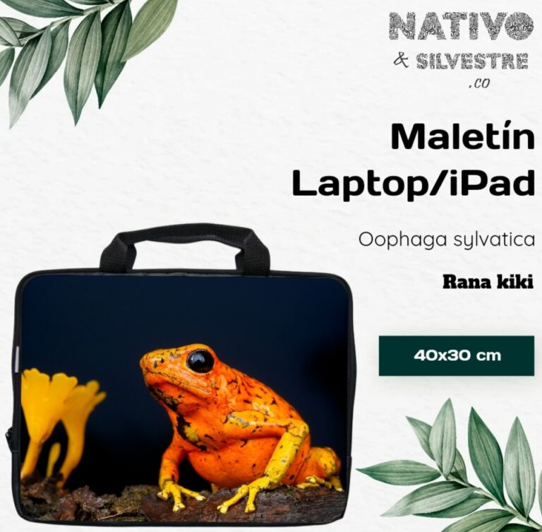 Nativo & Silvestre.co 2 Screenshot_2022-10-15-15-35-25-145_to.blend.mobile_app