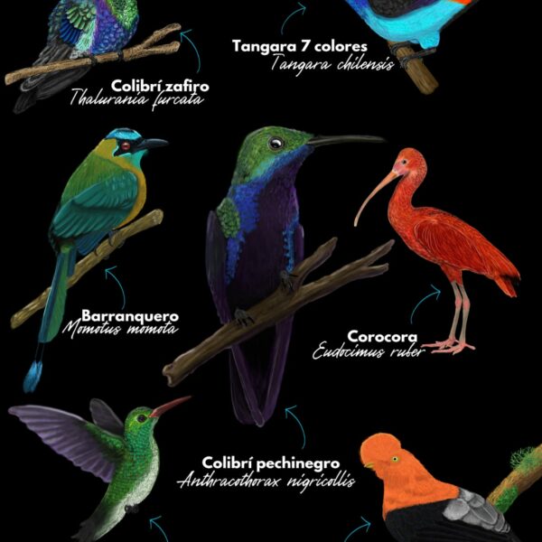 04ce36e0-dc18-4755-b6ea-e3004f2eb427